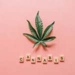 Семена конопли Malakoff feminised от Medical Seeds image_116.jpg