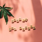 Семена конопли в корме для птиц полезные свойства и особенности использования image_294.jpg