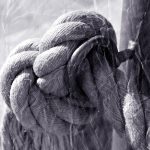 Семена домашней конопли полезные свойства и применение images412.jpg