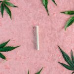 Покупка сортовых семян конопли: особенности и преимущества image_220.jpg