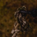 Как выписать семена конопли и что нужно учитывать при их приобретении image_251.jpg