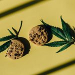 Сорт конопли Auto Black Jack от Ganja Seeds image_281.jpg