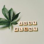 Семена конопли Power Flower feminised от Royal Queen Seeds image_309.jpg