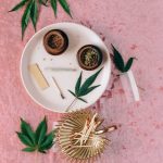 Преимущества и применение технической конопли image_391.jpg