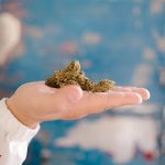 Выращивание конопли в грунте семенами image_423.jpg