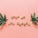 Польза и применение семян конопли в кулинарии image_499.jpg