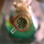 Автофлоральная конопля Auto Crystal Candy feminised от Sweet Seeds image_516.jpg