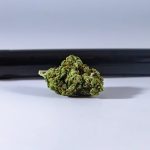 Семена конопли Tropi Mix feminised от Philosopher Seeds image_526.jpg