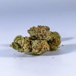 Выписка семян конопли по почте особенности и нюансы процесса image_550.jpg