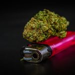 Варка семян конопли время приготовления и рецепты с вареными семенами image_554.jpg