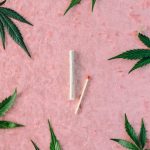 Производство семян марихуаны в Израиле image_58.jpg