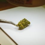 Сорт конопли Auto Blackberry feminised от компании Fast Buds image_72.jpg