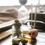 Семена конопли Critical Soma feminised от Advanced Seeds image_78.jpg