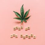 Сорт конопли Auto Mexican Airlines от Ganja Seeds image_97.jpg