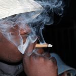 Сорт конопли California Dream feminised от Mandala Seeds images182.jpg