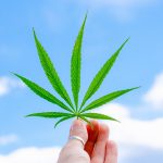 Семена конопли Auto Tengiz feminised от Bang Seeds images405.jpg